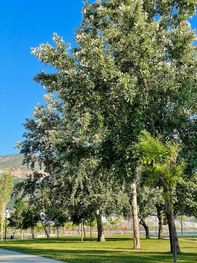 Sea View Apartment Vlorë 外观 照片